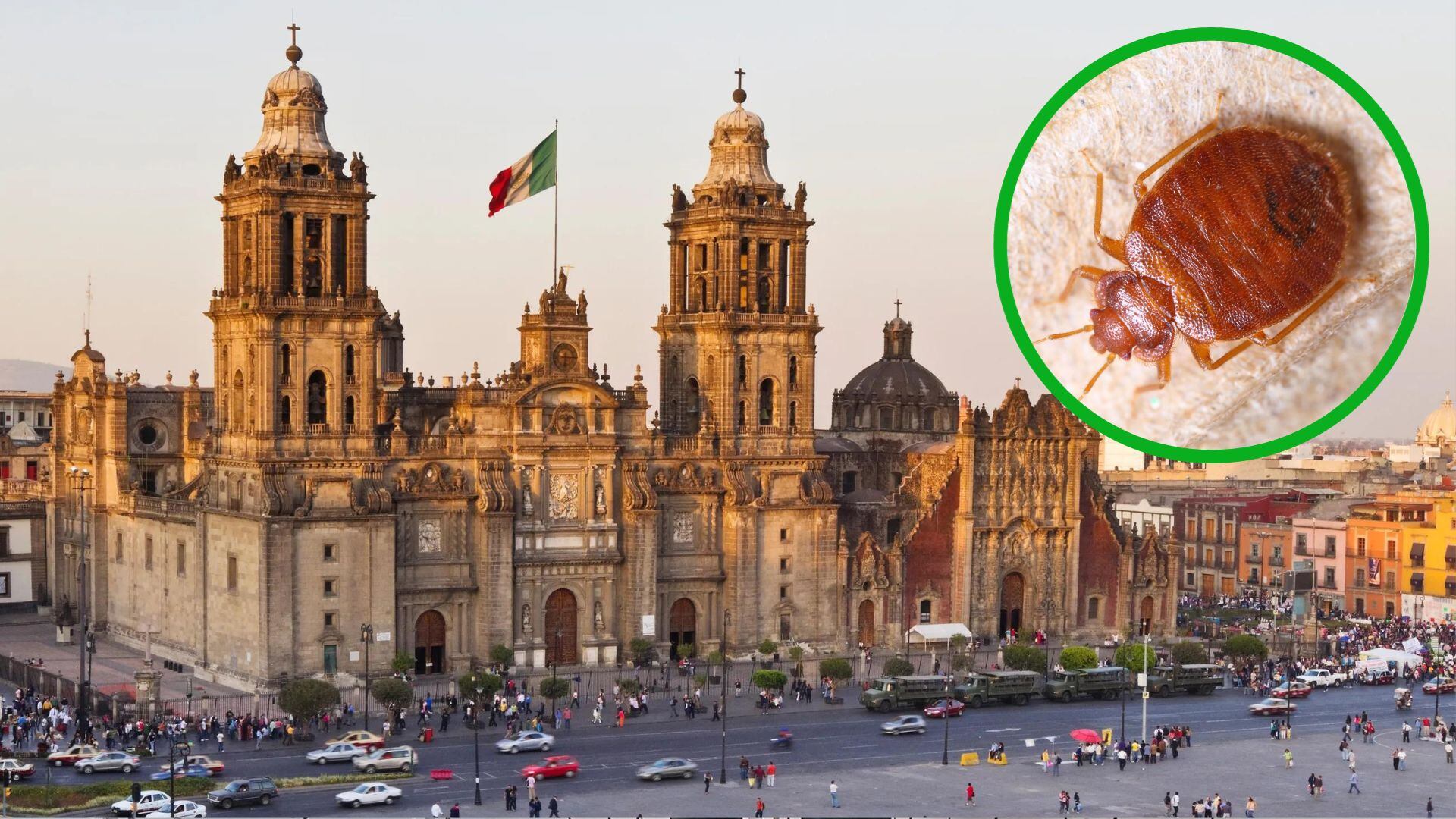 En un comunicado se informó que realizaron labores de limpieza profunda en distintos espacios al interior del recinto religioso.