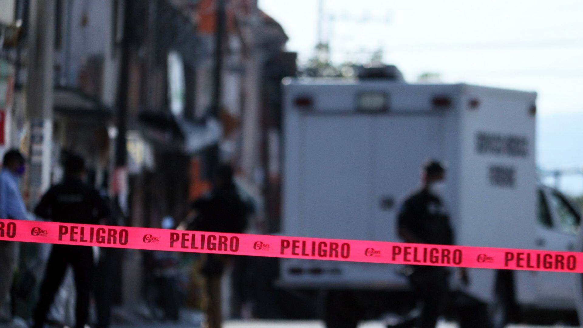 Avistamientos de perros abandonados con restos humanos; resultado del crimen organizado