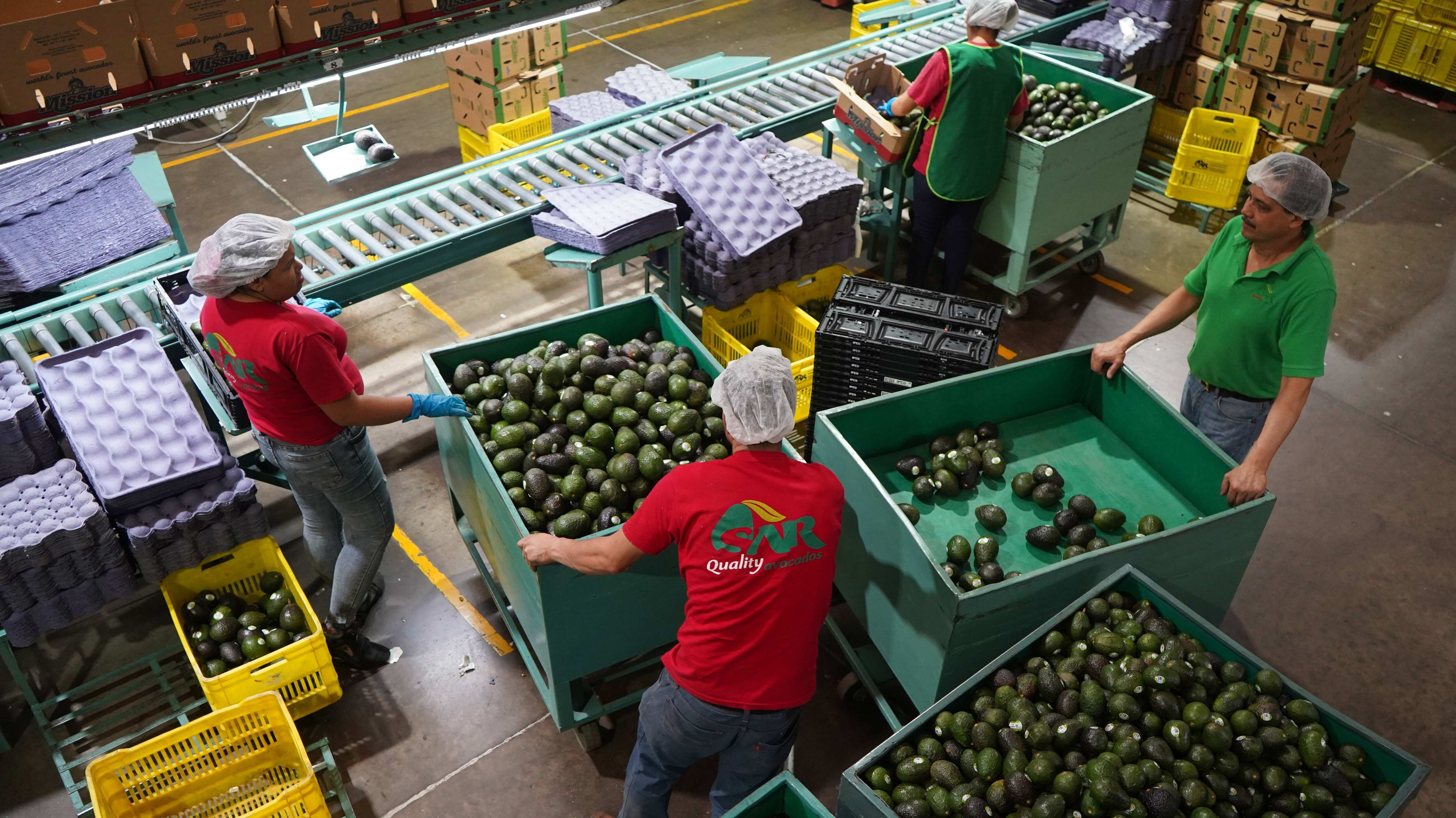 Jalisco es el cuarto generador de empleo en el país.