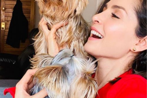 Carmen Villalobos se quedó con Capuchino, el tierno perro que compartía con Sebastián Caicedo