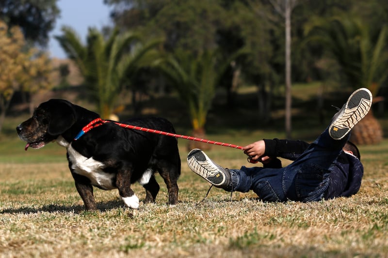 niño con mascota
