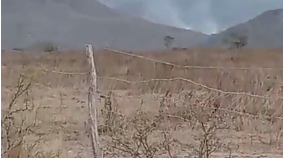 La aeronave de la Marina cayó en Sinaloa. (Especial)