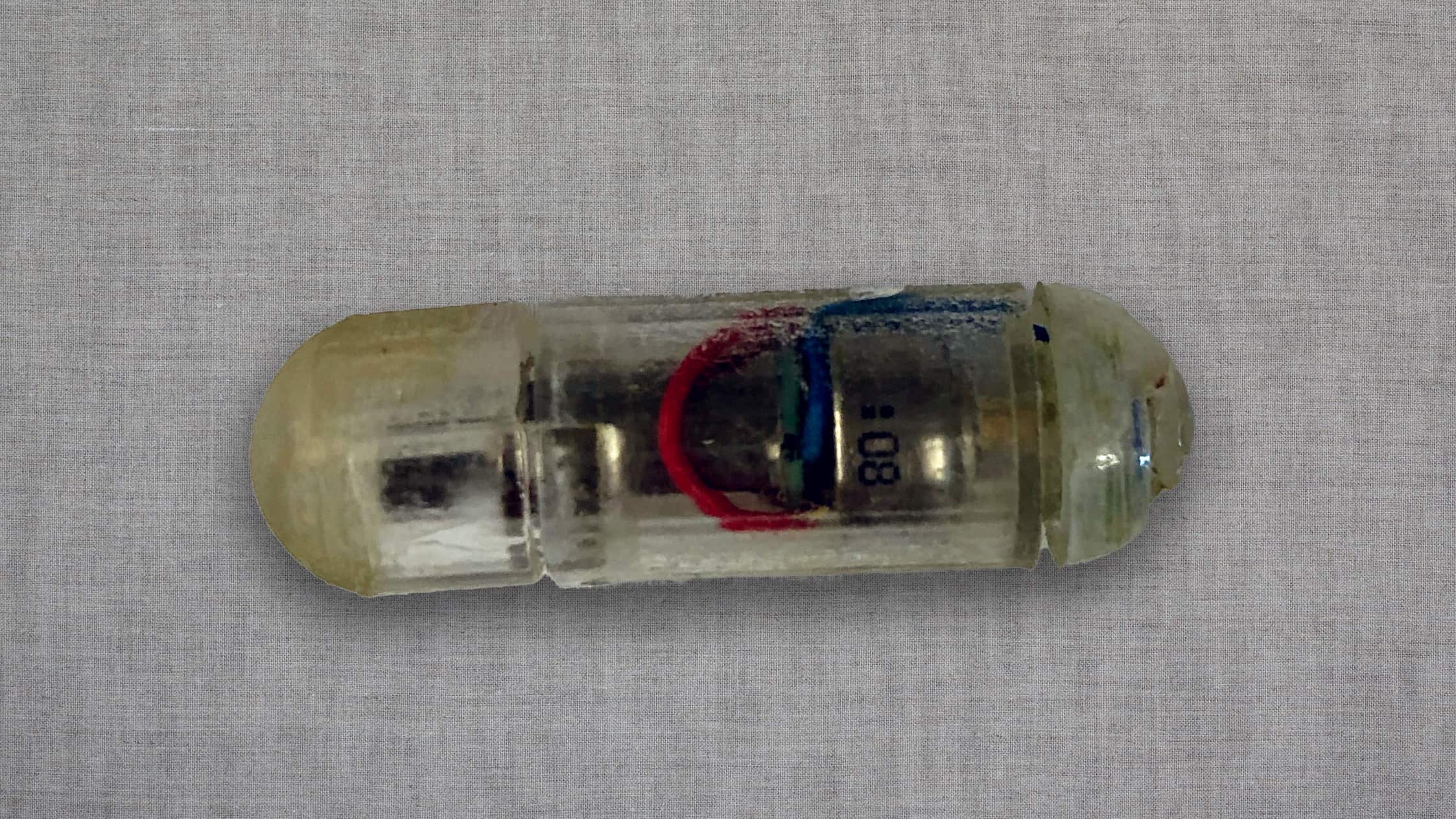 Píldora par abajar de peso VIBES de MIT