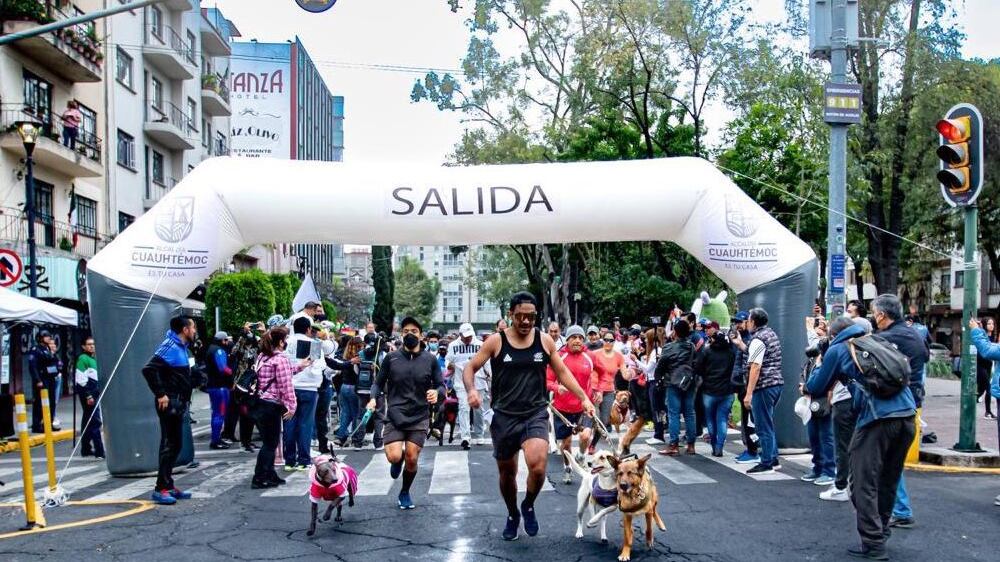 Carrera Perritos en Fuga