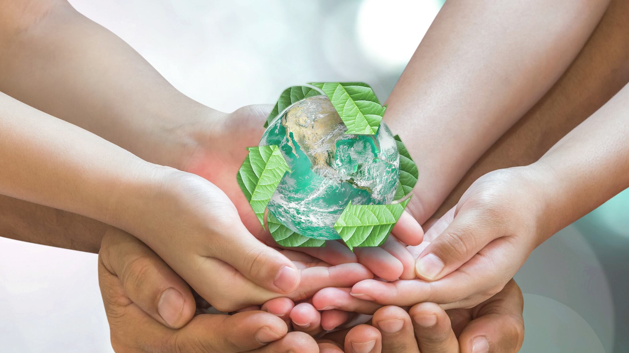 A comienzos de junio se dedica un día en pro de la sustentabilidad, conoce los productos qué preservan al planeta y cómo puedes unirte a esta campaña