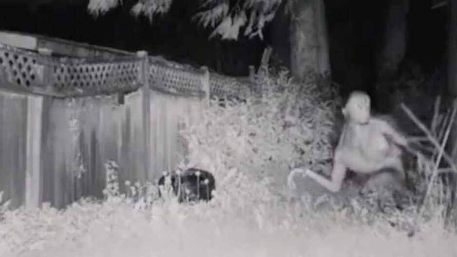 El incidente habría sido reportado al 911 y las imágenes grabadas se volvieron virales y han levantado la polémica