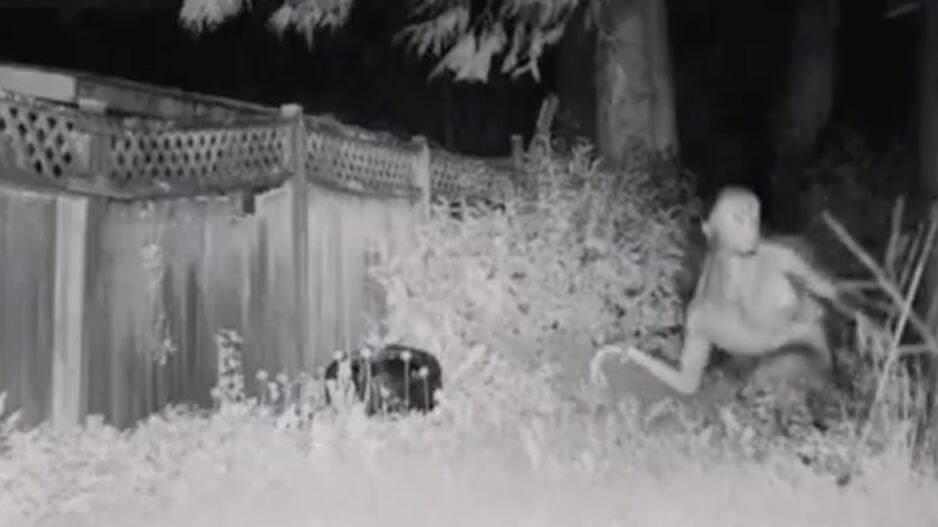 El incidente habría sido reportado al 911 y las imágenes grabadas se volvieron virales y han levantado la polémica