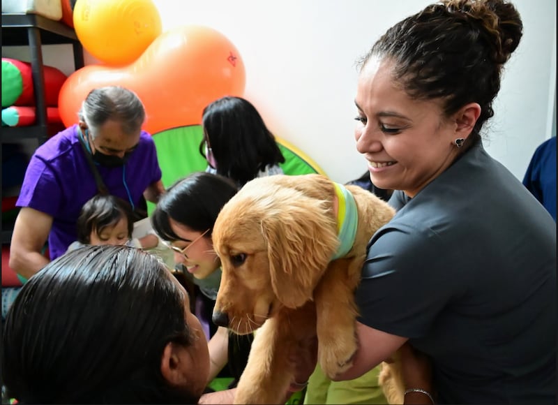 Terapias asistidas con perros en el INP
