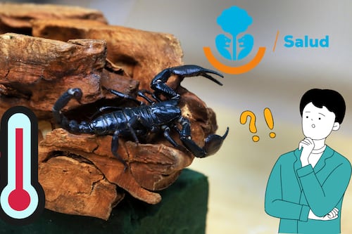 ¿Qué hacer si me pica o muerde un animal ponzoñoso? Salud Jalisco comparte la información