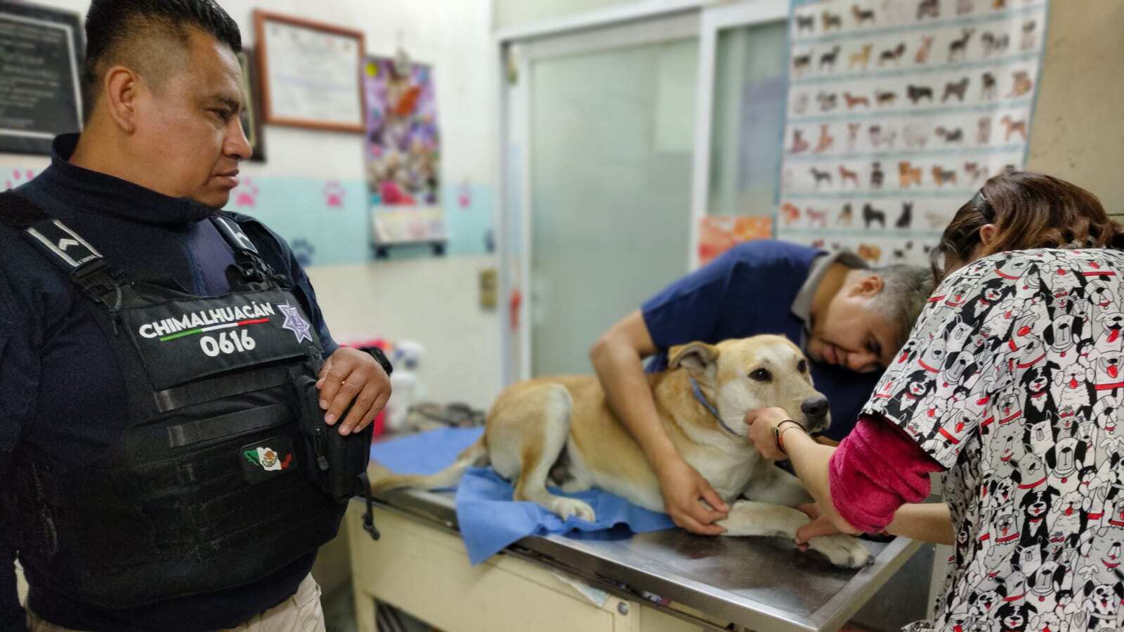 explosión del polvorín clandestino en Chimalhuacán