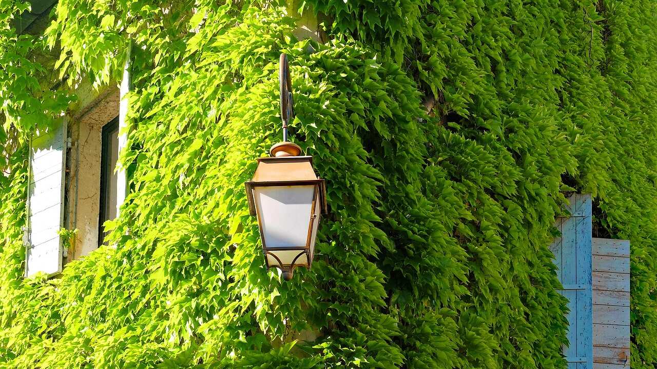 Edificios verdes o sustentables, la nueva arquitectura urbana