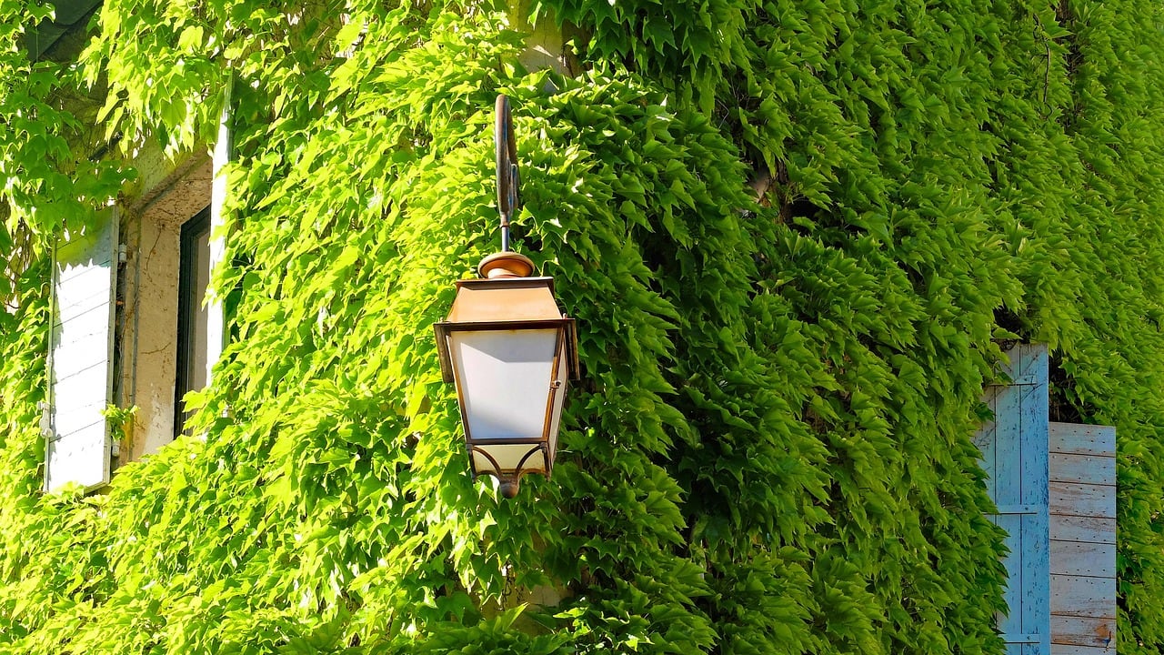 Edificios verdes o sustentables, la nueva arquitectura urbana