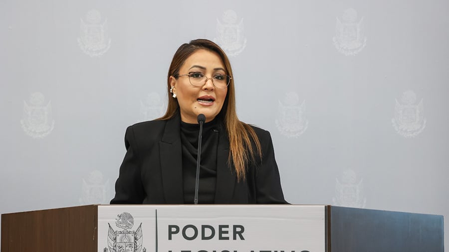 La diputada local del PT, Claudia Díaz