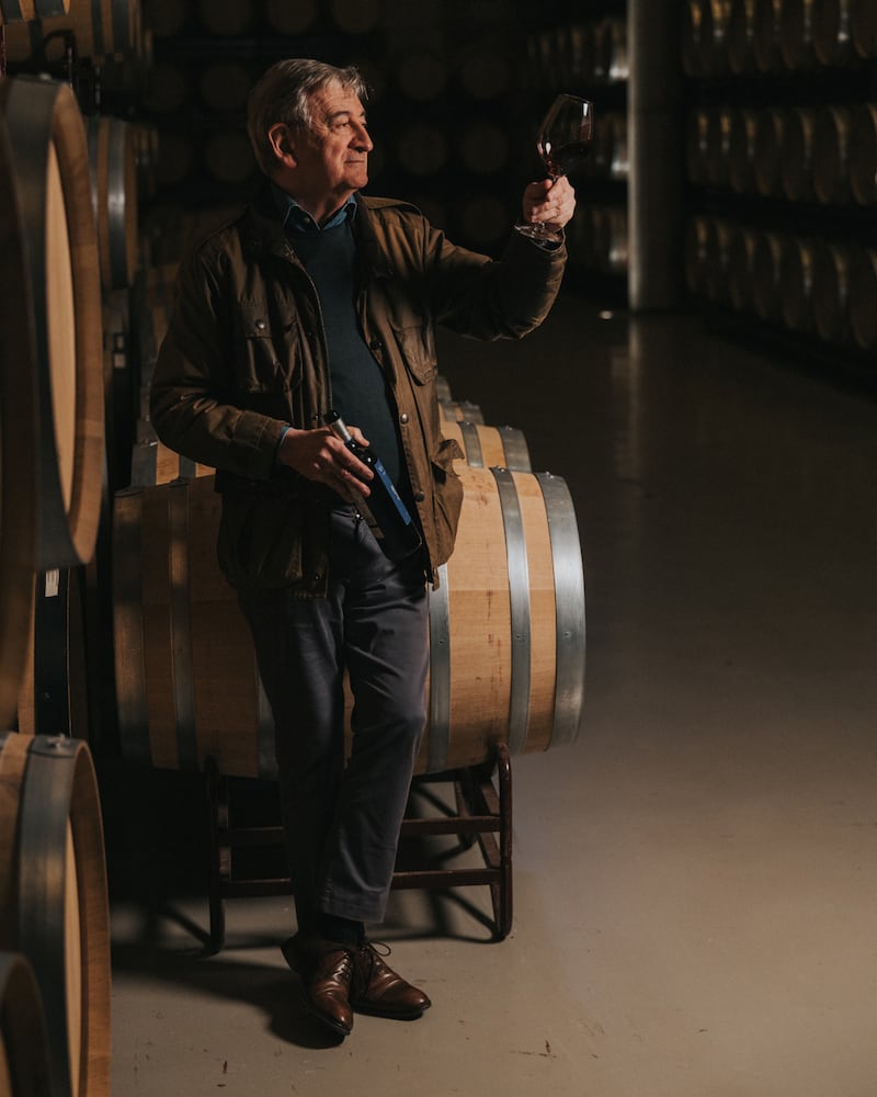 Vino Valenciso