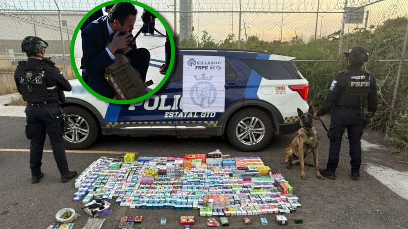 La utilización de elementos caninos ha sido una estrategia de colaboración de efectividad probada.