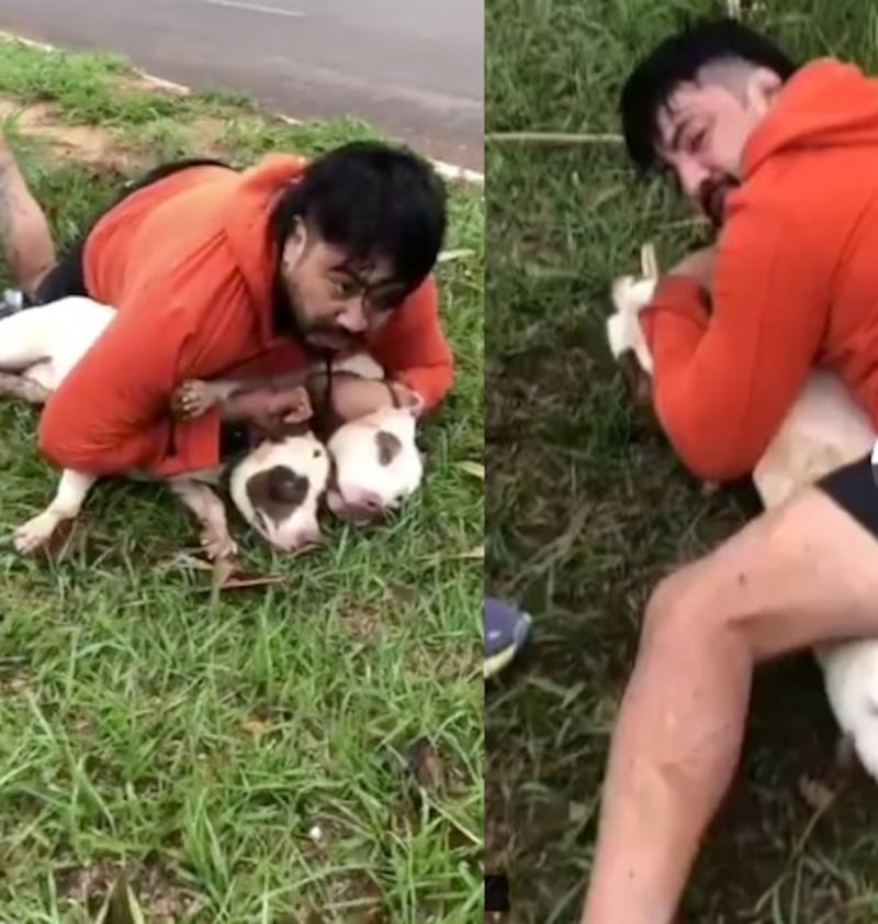 Luchador de muay thai inmoviliza a dos pitbulls que lo atacaron en la calle