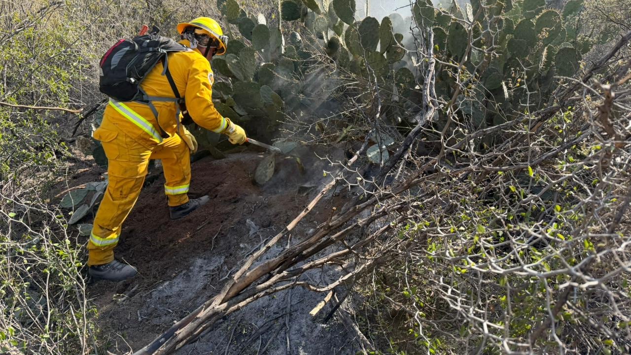 En lo que va del año se registran siete incendios forestales.