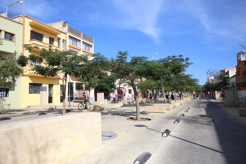 Una zona que ya se trabaja en su repoblamiento en la parte norte del Paseo Alcalde hasta La Normal.