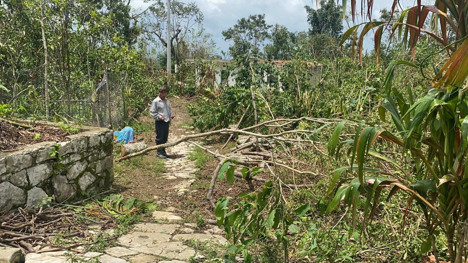 Daños por huracán “Grace” quedarán resueltos en dos meses: Barbosa