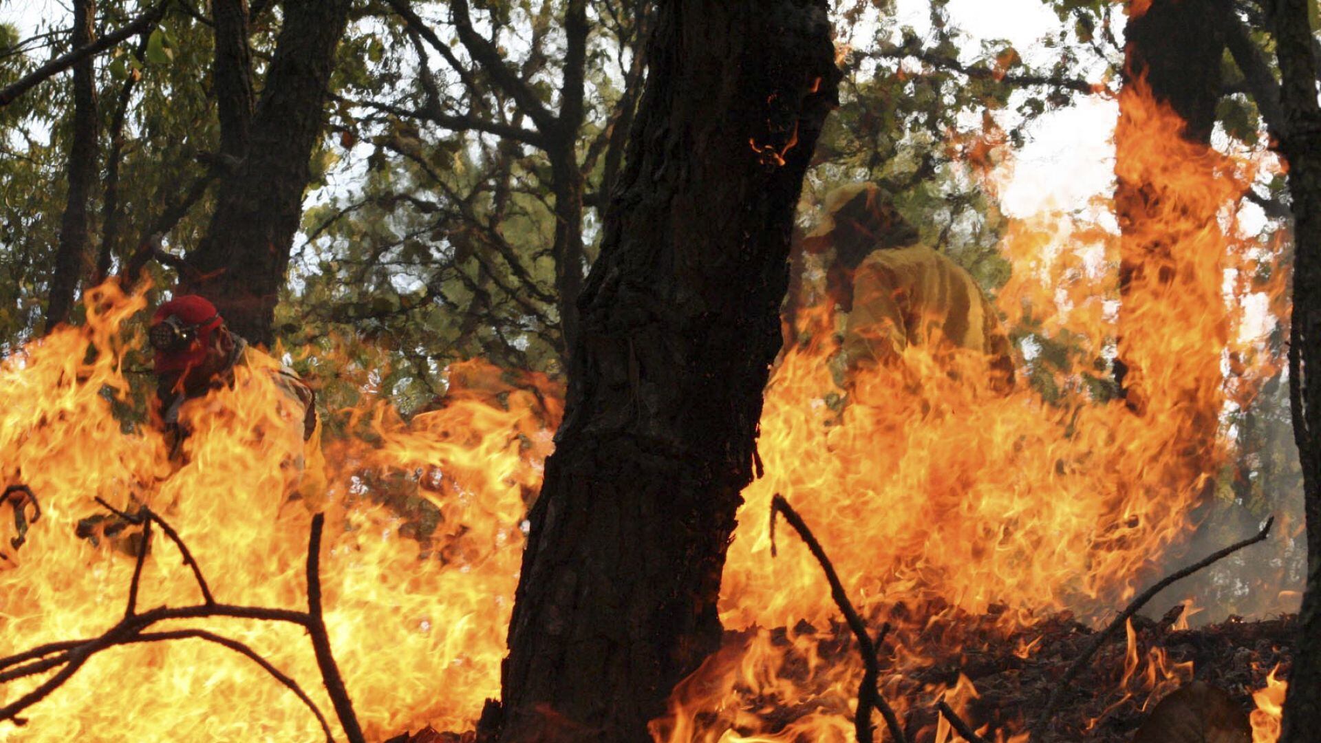 Brigadistas trabajan para combatir los incendios forestales en la zona.