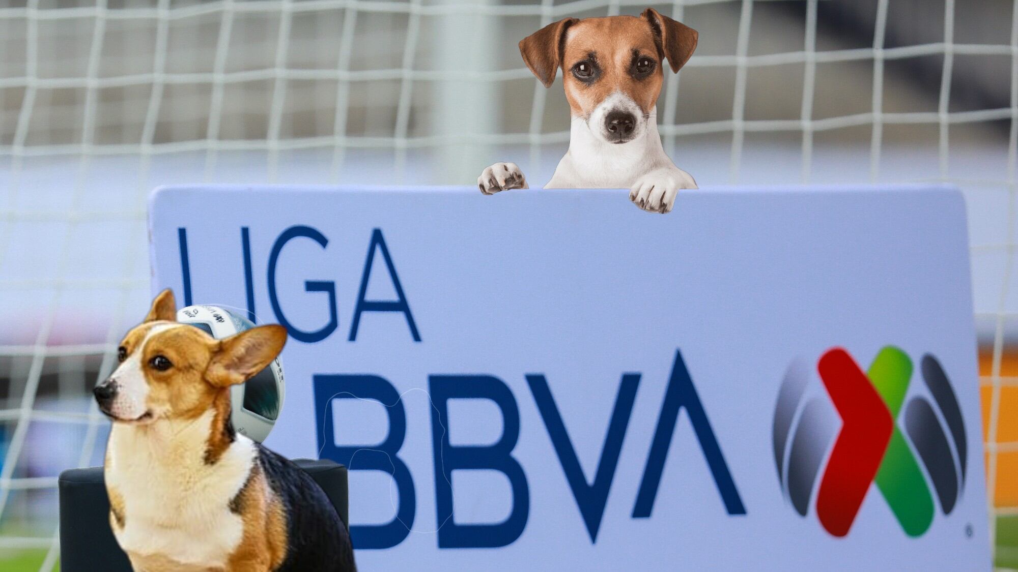 Mascotas en la Liga MX