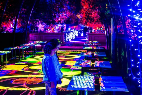 “No estoy de acuerdo”: Brugada rechaza privatización del Parque Lira y va por plática con Tabe