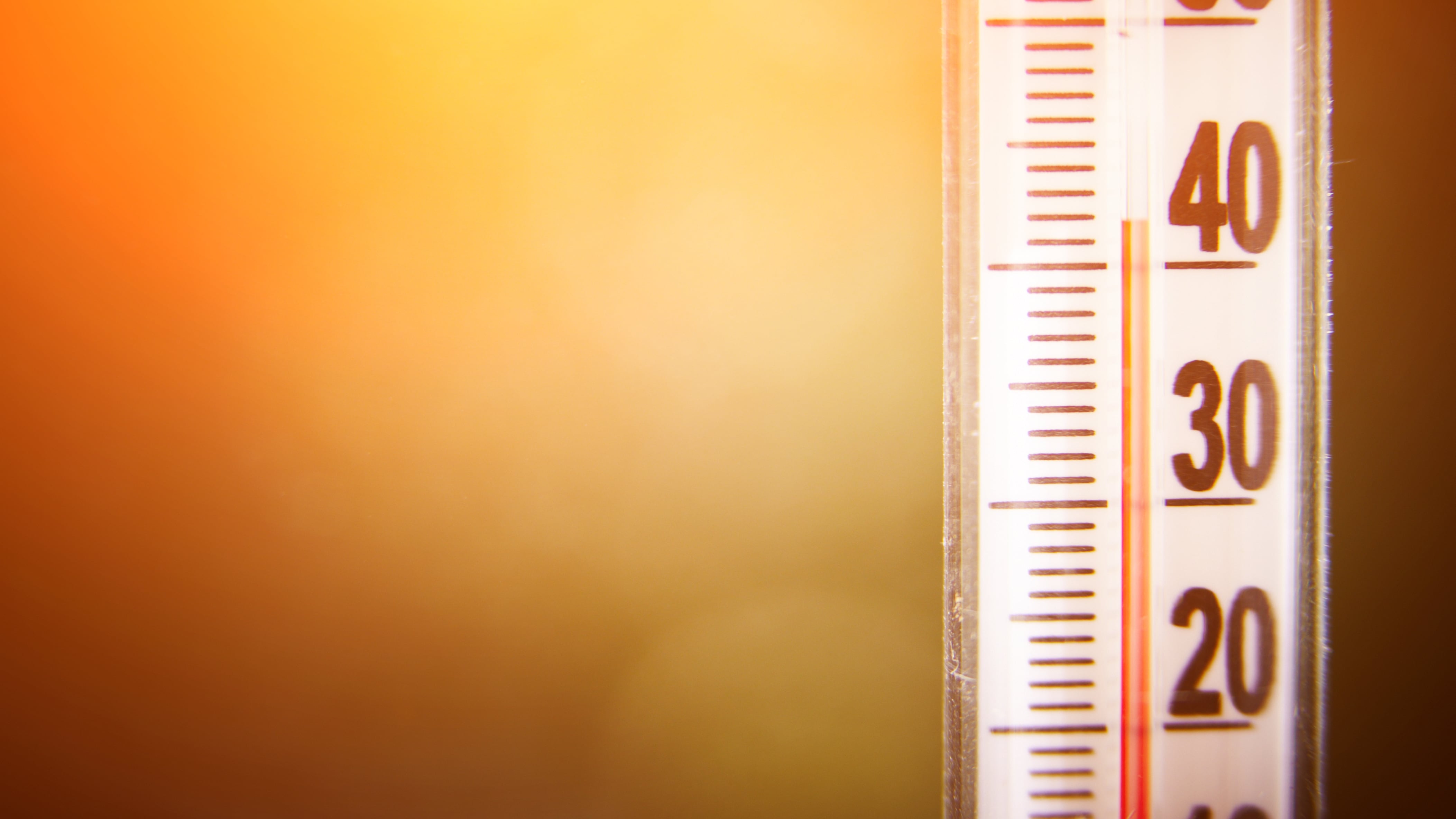 Las víctimas, ambas de más de 60 años perdieron la vida prácticamente una después de la otra.