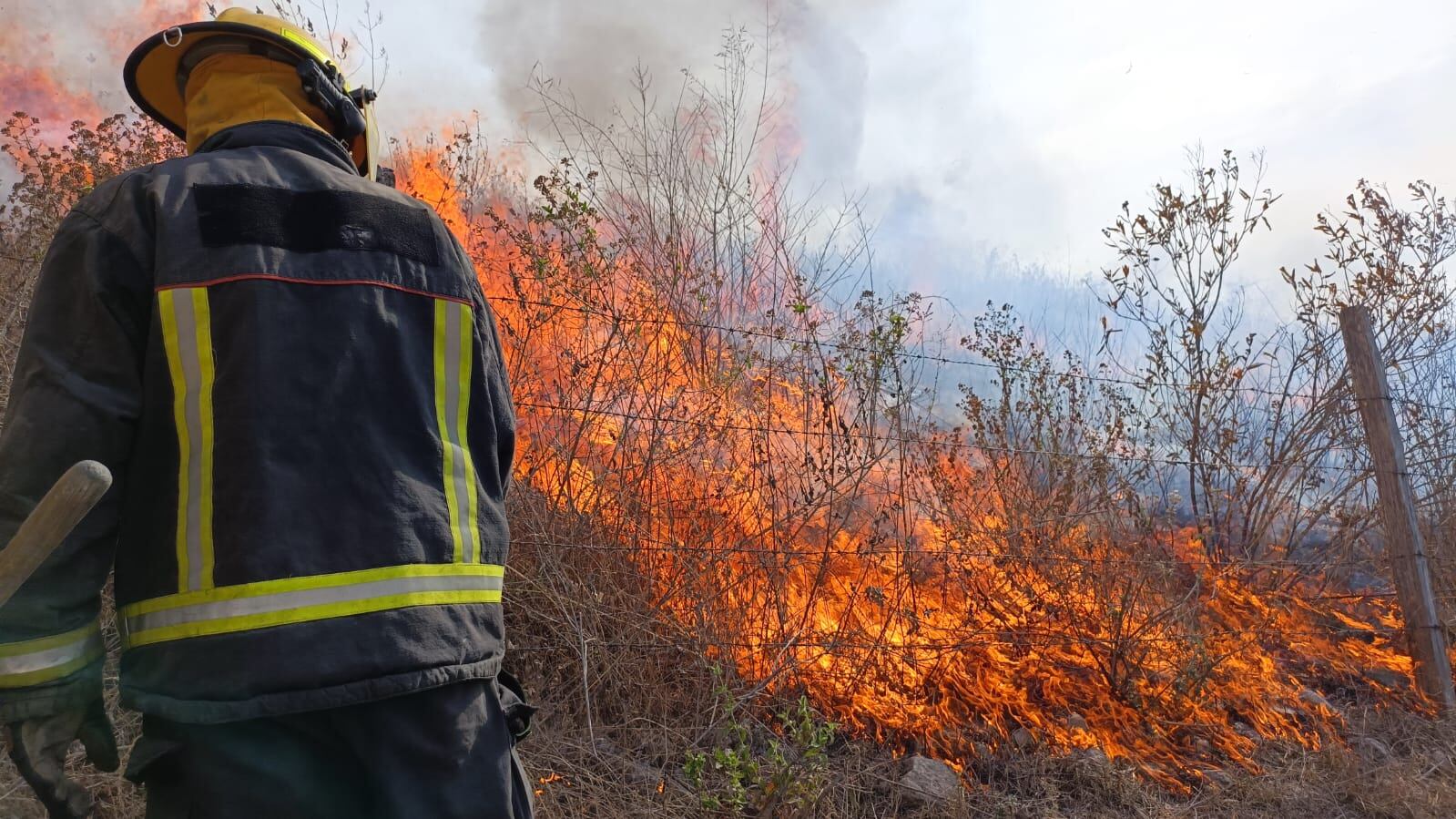 Se detuvo a una persona por provocar los incendios en la carretera a Saltillo.