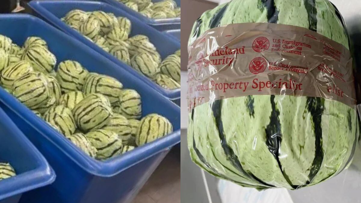 Cae hombre que intentaba cruzar más de cinco mdd en metanfetamina oculta en sandías falsas a EE.UU.