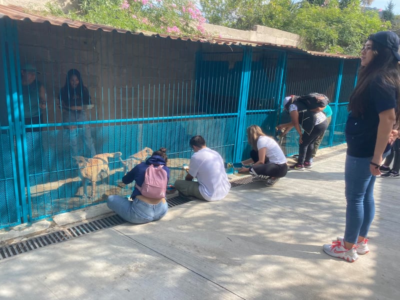 Refugio Mundo Patitas