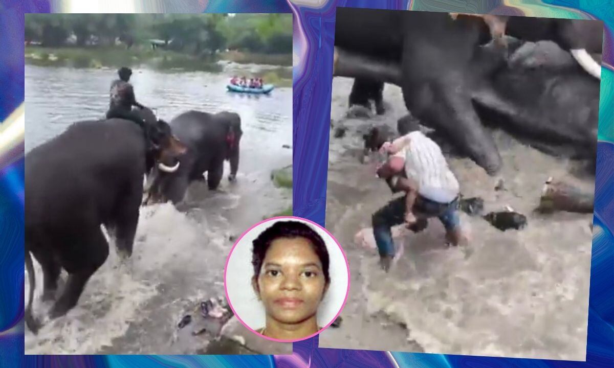 ¿Vale la pena arriesgarse por una selfie? Turista muere pisoteada por elefante en India