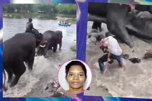 ¿Vale la pena arriesgarse por una selfie? Turista muere pisoteada por elefante en India