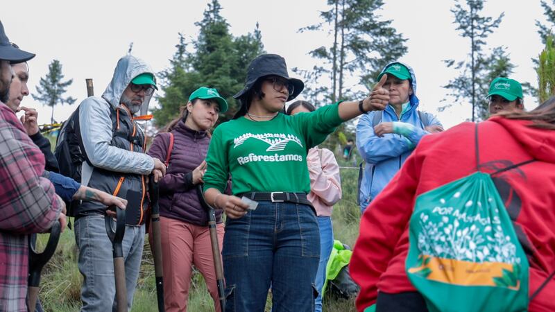 En la búsqueda de un México más ecologico, una de las casas editoriales más grandes del mundo ha decidido cambiar hacia un enfoque sustentable