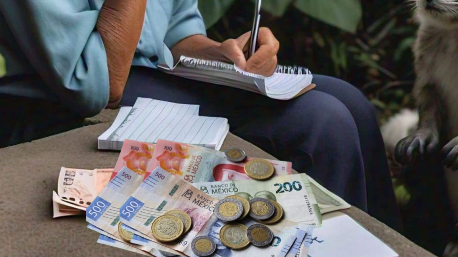 Las búsquedas de los mexicanos son cada vez son más específicas.