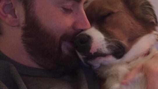 Se vale llorar, el día que Chris Evans rescató a su perro Dodge de un refugio mientras filmaba una película