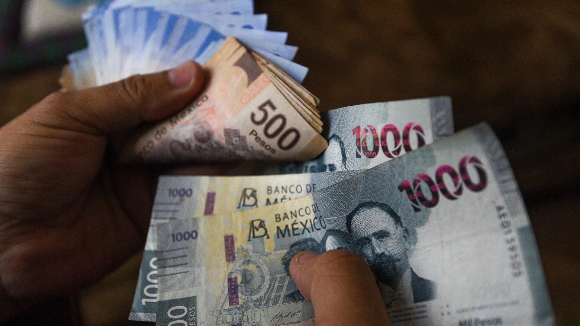 Alimenta al cochinito