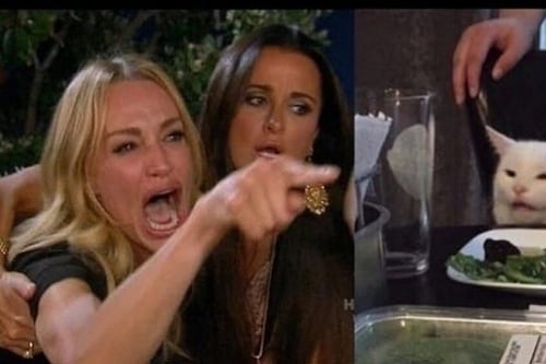 Todos somos el meme de Smudge, el gato en la mesa