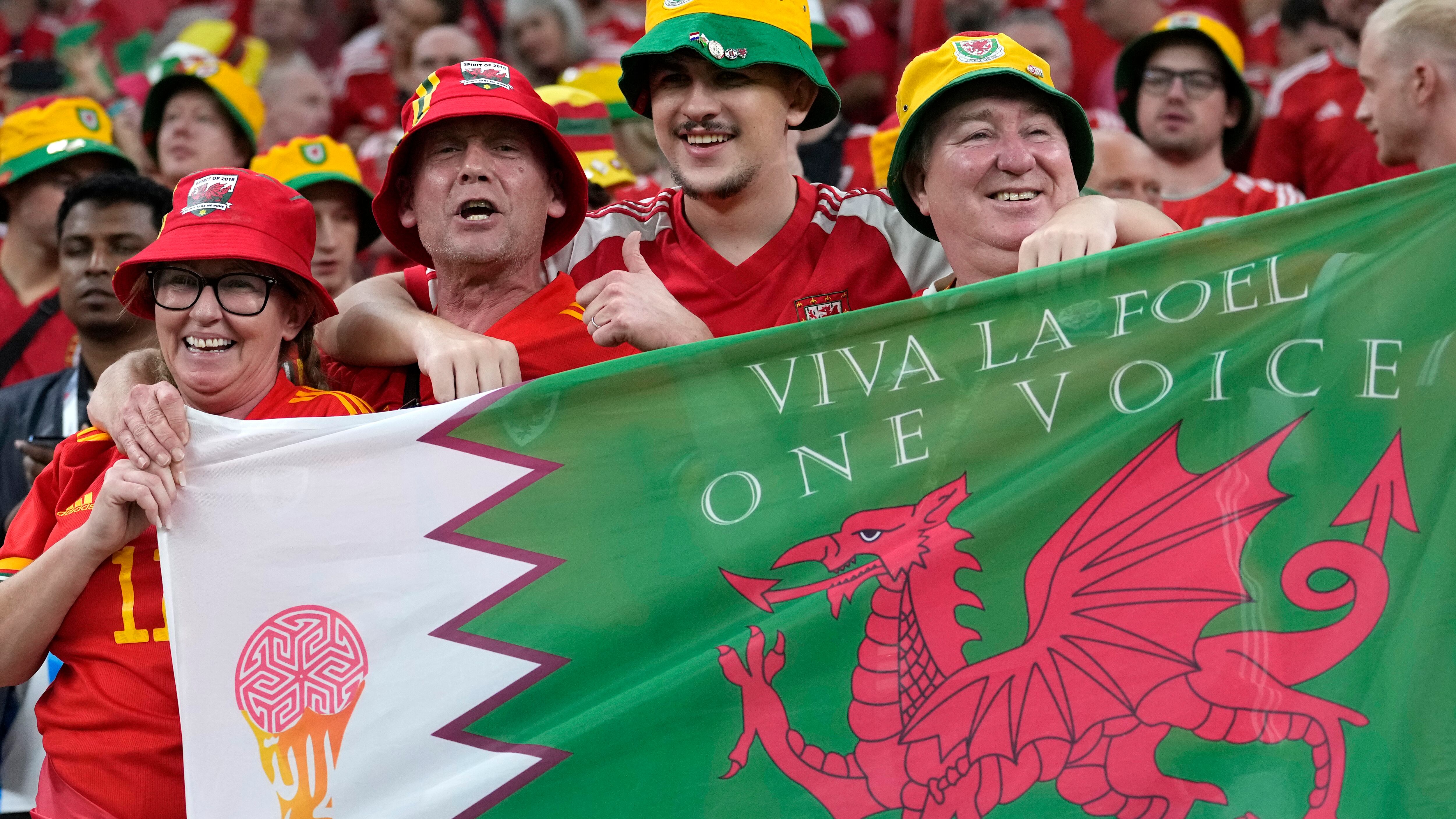 Aficionados de Gales