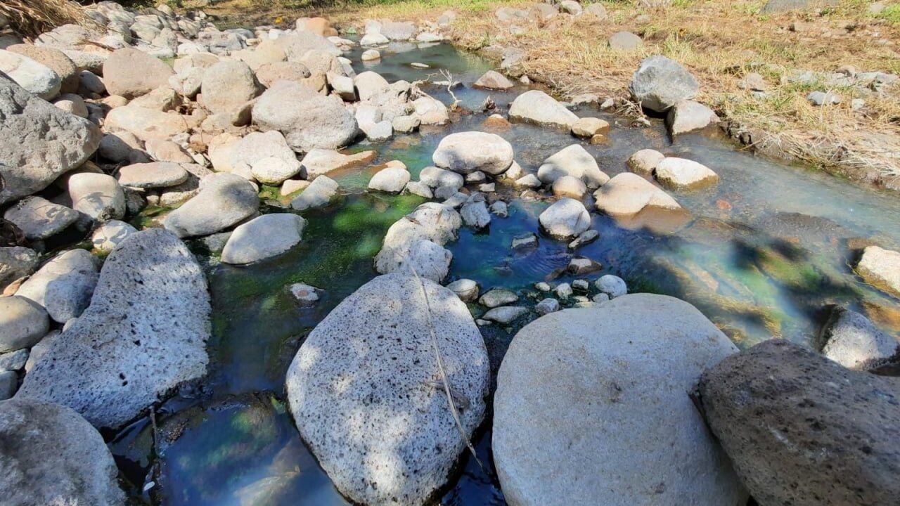 Existen proyectos para afianzar esta situación.