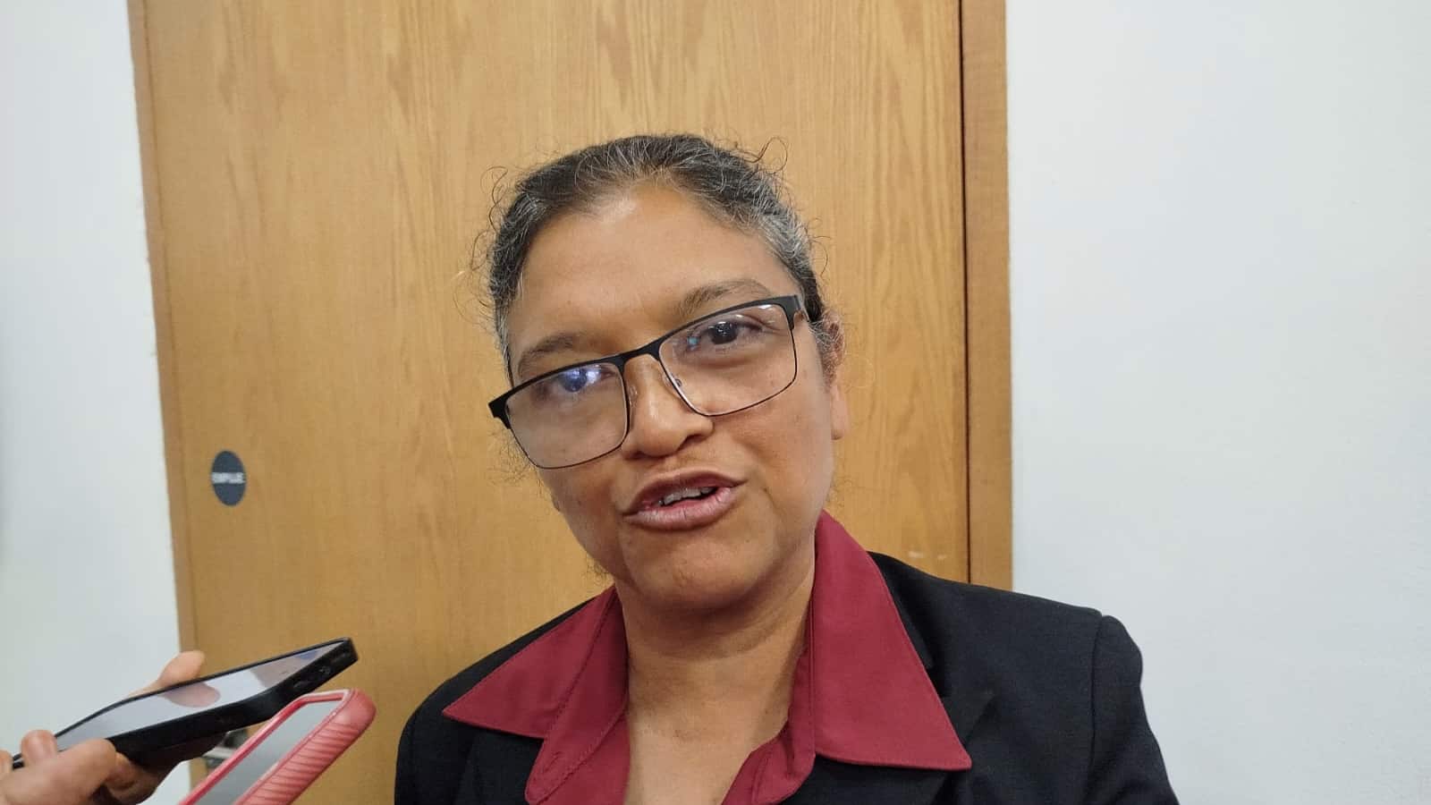 “No se castigó a los estados de oposición”, asegura diputada federal tras ajuste al presupuesto de Querétaro