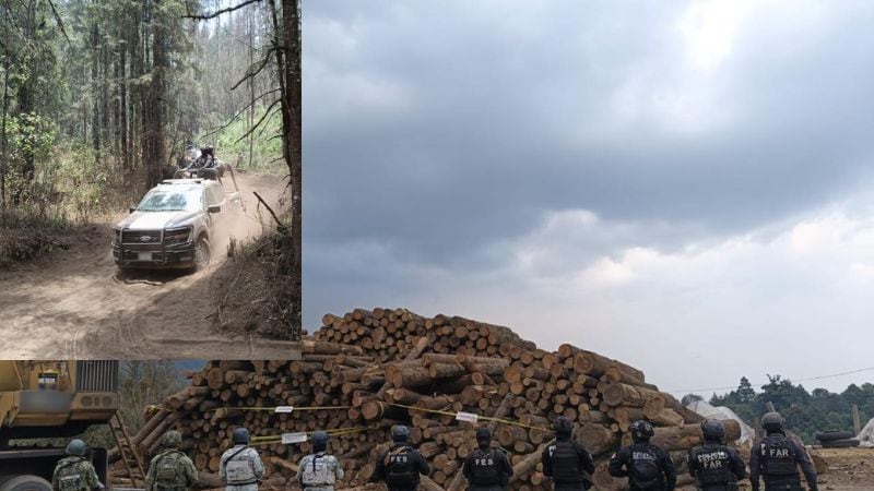 Tala ilegal: aseguran 83 metros cúbicos de madera en Coatepec Harinas