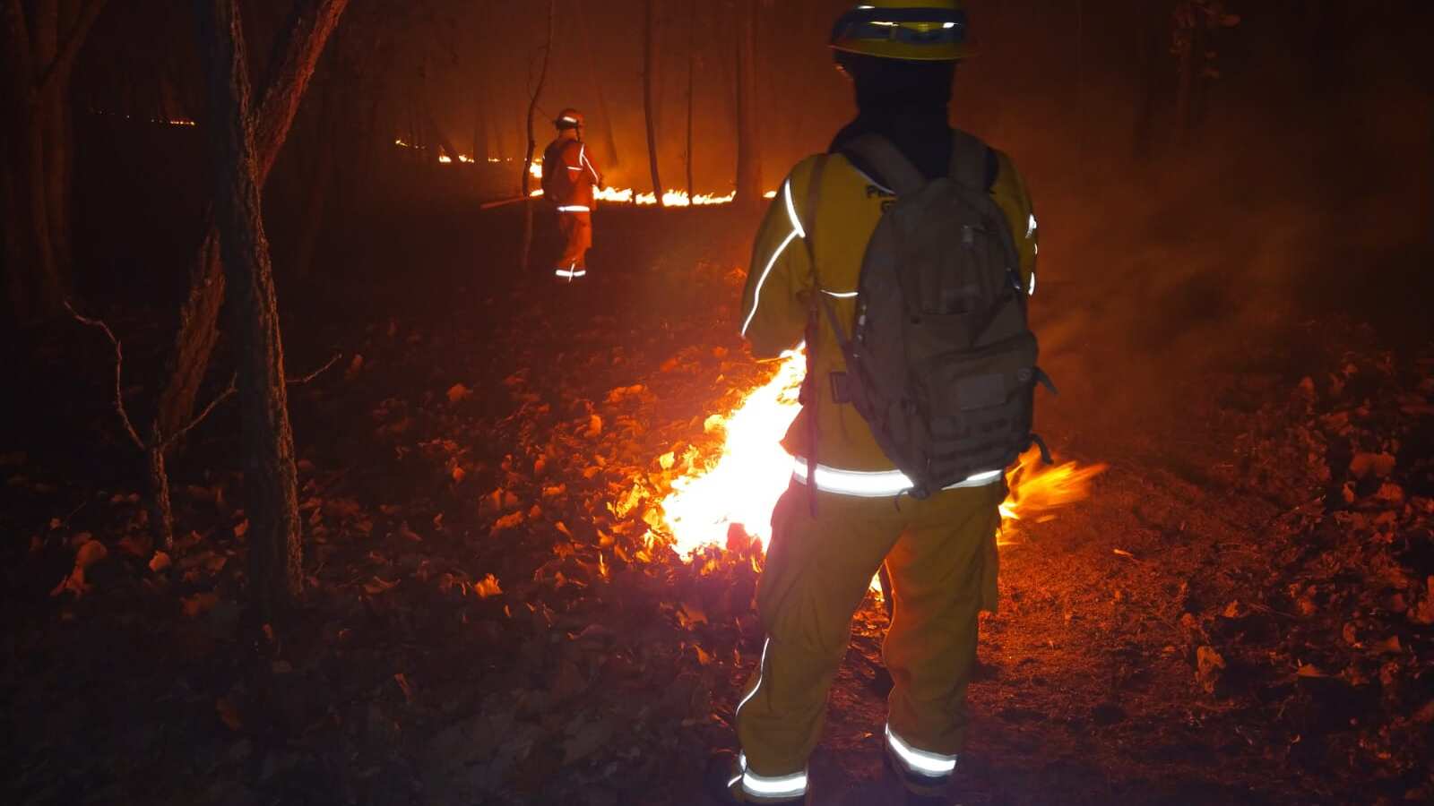 Al final en las labores de combate del incendio terminaron trabajando 320 brigadistas.