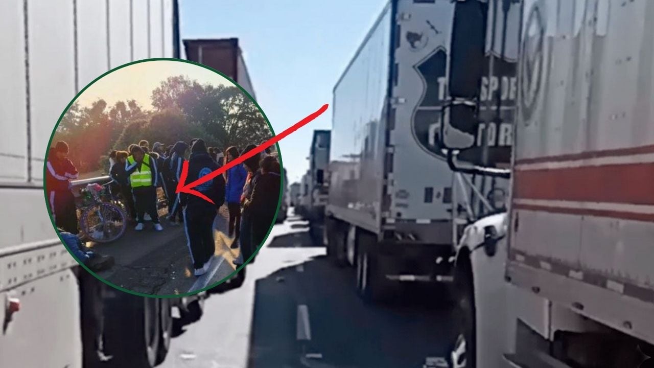 Peregrino pierde la vida