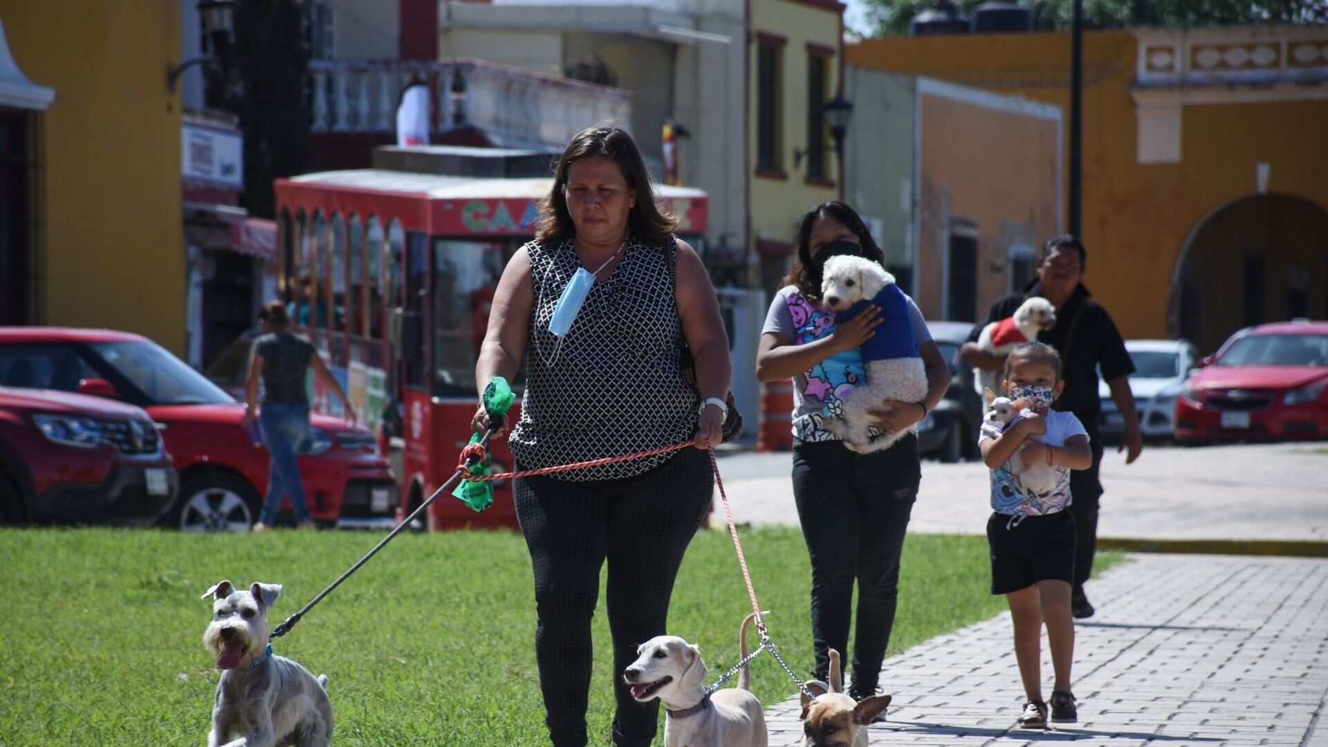 El kit de regalo perfecto para consentir a tu perro