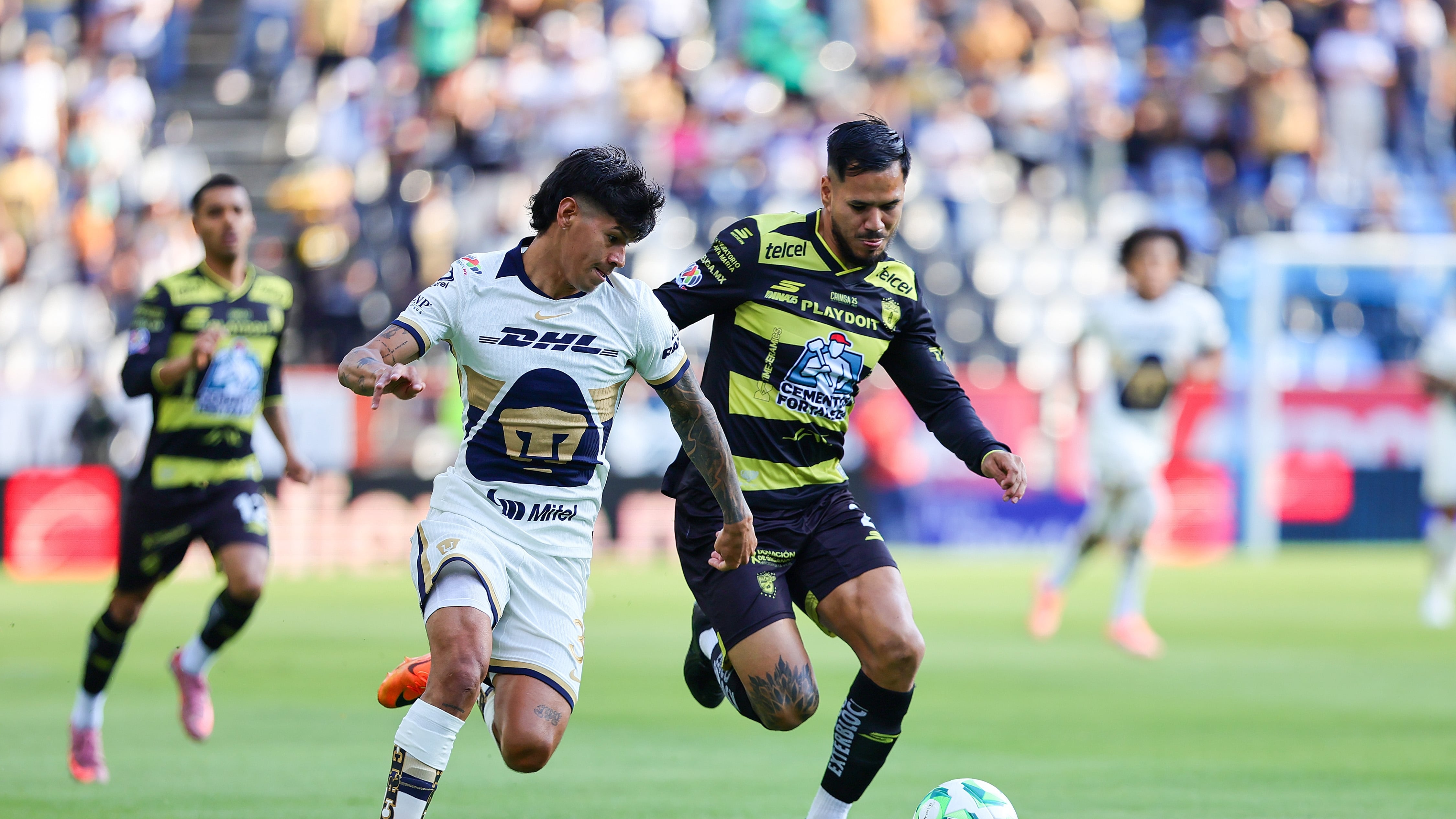 Pumas va contra Pachuca.