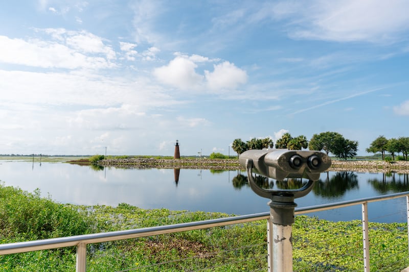 Descubre este destino en Florida que combina naturaleza, aventura y cercanía a Disney