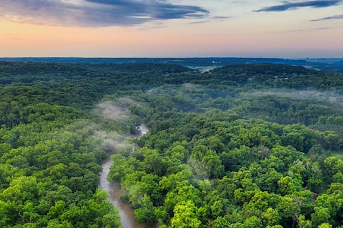 ¿Qué esperar del medioambiente este 2025?