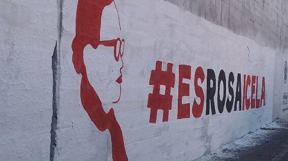 Pintan bardas con la leyenda #EsRosaIcela