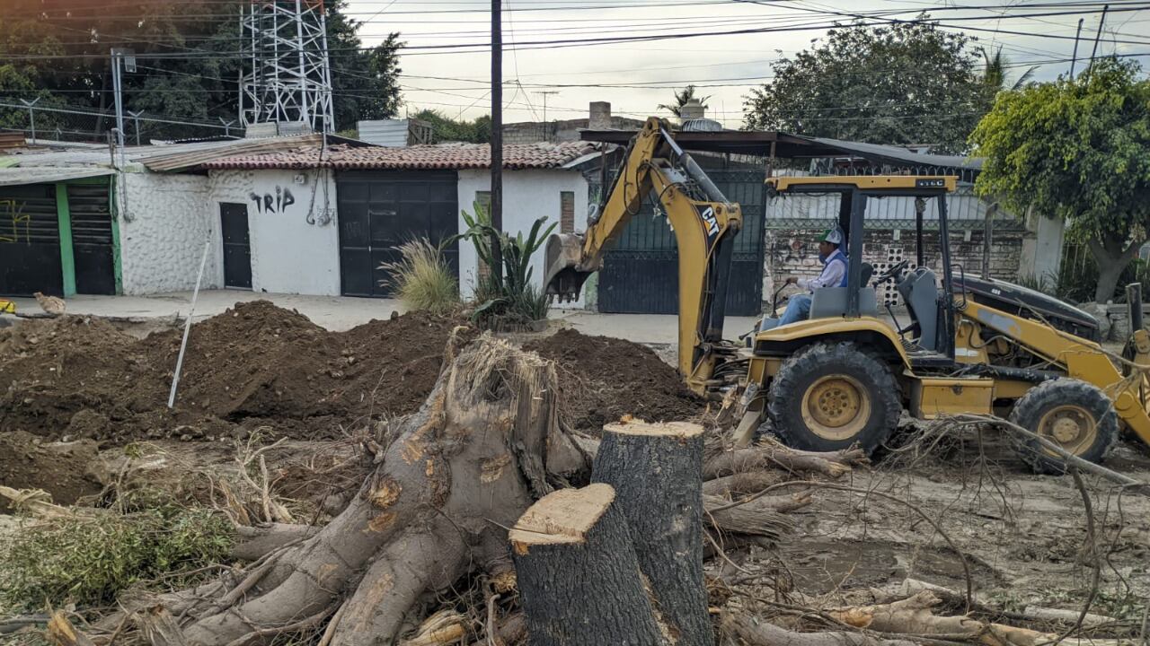 Aún quedan algunos árboles por proteger y los vecinos advierten incluso recursos judiciales para evitar que sean talados.