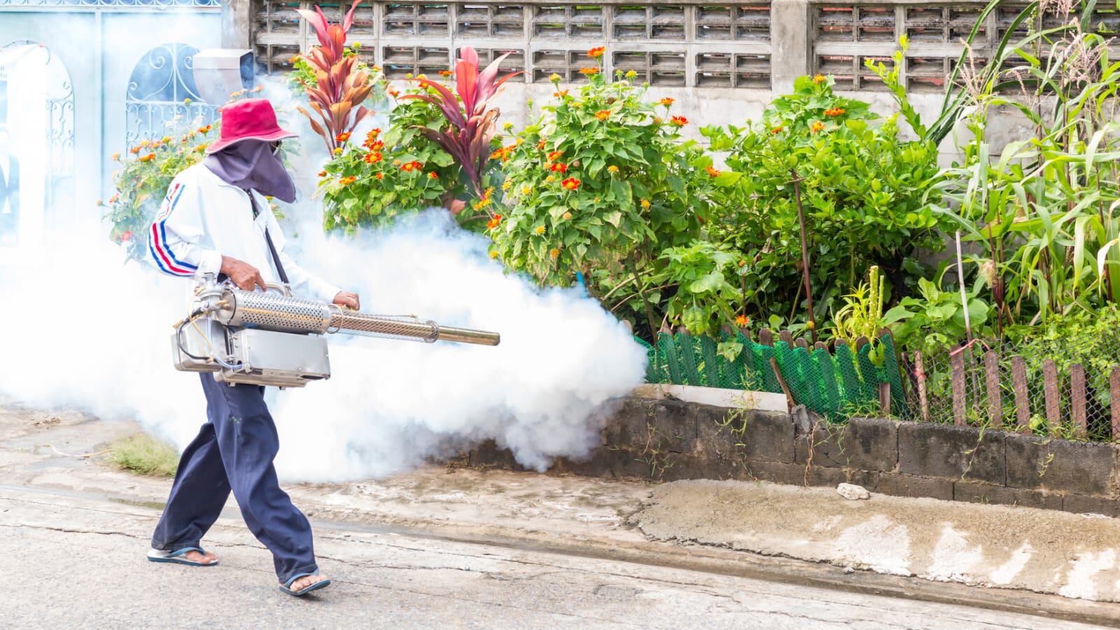 También se han intensificado las brigadas de fumigación.